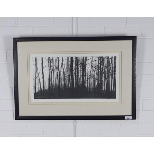 164 - WENDY SUTHERLAND, TREE LANDSCAPE, FRAMED PRINT, SIGNED IN PENCIL AND NUMBERED 1/10, 54 X 30cm