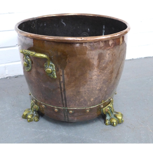 425 - Copper and brass coal bucket on paw feet,  40 x 31cm.