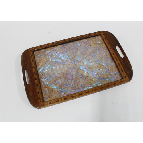 432 - An Edwardian butterfly wing tray, 53 x 34cm.