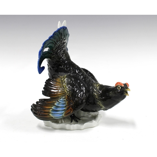 66 - Karl Ens porcelain Black Grouse, green backstamp, 20 x 21cm.