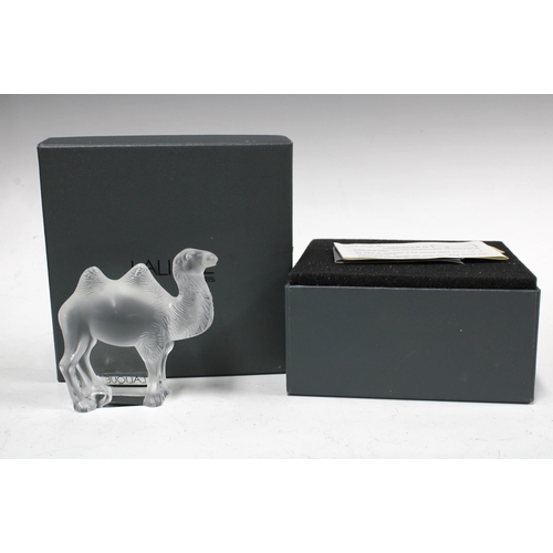 78 - Lalique frosted glass model of a Camel, signed, with box, 9 x 8cm.