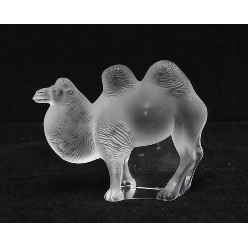 79 - Lalique frosted glass model of a Camel, signed, with box, 10 x 8cm.