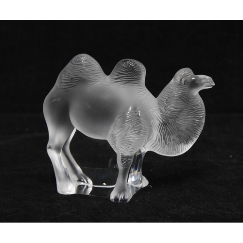 79 - Lalique frosted glass model of a Camel, signed, with box, 10 x 8cm.