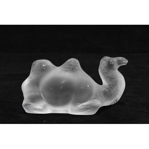 82 - Lalique frosted glass model of a Camel, signed, with box, 10 x 6cm.