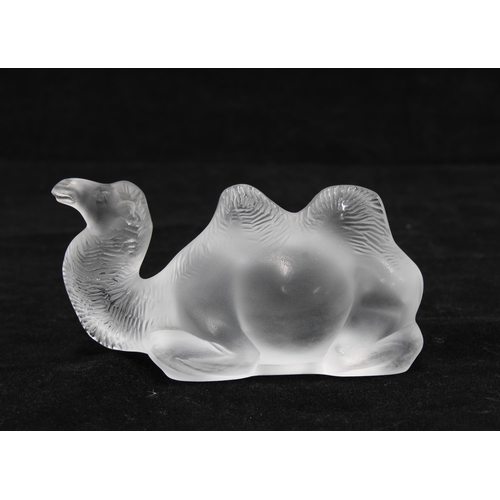 82 - Lalique frosted glass model of a Camel, signed, with box, 10 x 6cm.