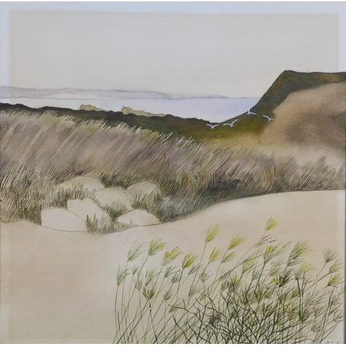 ELIZABETH REID DA, (SCOTTISH 1940-2019), GULLS, watercolour on paper ...