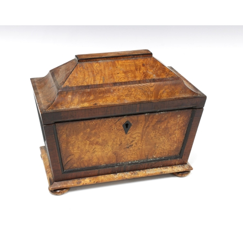 393 - Burrwood sarcophagus tea caddy, 22 x 25cm