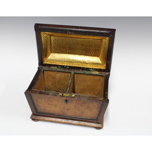 393 - Burrwood sarcophagus tea caddy, 22 x 25cm