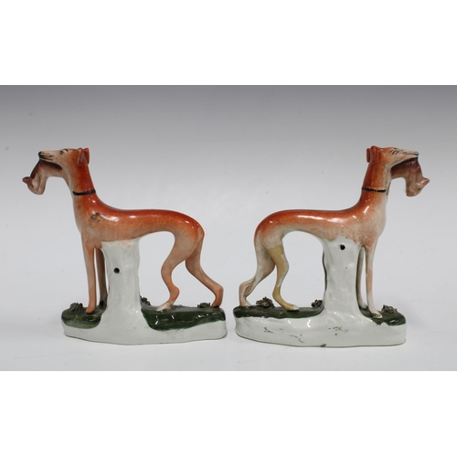 86 - A pair of Staffordshire greyhound figures, each modelled standing with a rabbit in their mouth (one ... 