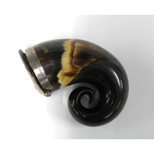 99L - 18th century curly horn snuff mull with white metal collar inscribed James Gilmour Westfield of Pitl... 