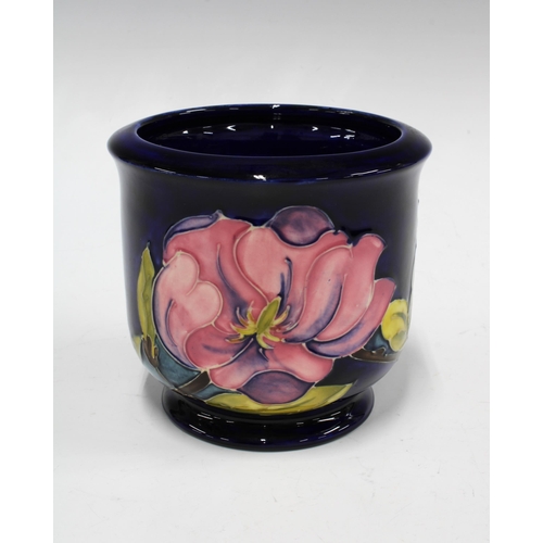 127 - Moorcroft pottery planter in Magnolia pattern, 14 x 13cm.