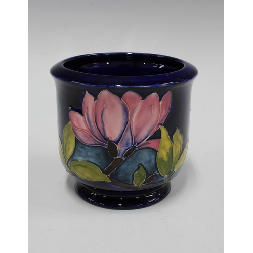 127 - Moorcroft pottery planter in Magnolia pattern, 14 x 13cm.