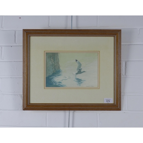 171 - FREDERICK J. WATSON, untitled watercolour of a Gull, signed and framed under glass, 22 x 15cm