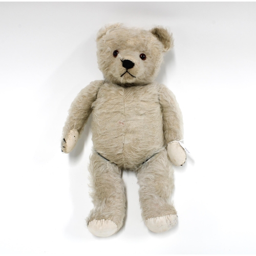 369 - Early French musical mohair teddy bear, with slight sign of original blue colour, 46cm long