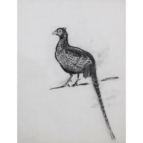 64 - DAVID MICHIE O.B.E., R.S.A., R.G.I., F.R.S.A (SCOTTISH 1928-2015) PHEASANT, drawing, framed under gl... 