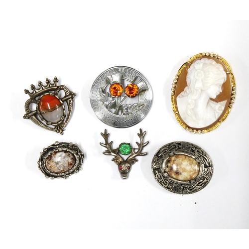 107 - 9ct gold framed Cameo brooch together with a group of Scottish  and other hardstone brooches, (6)