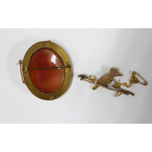 16 - Late 19th century Kookaburra seed pearl brooch set in yellow metal together with a 9ct gold framed C... 