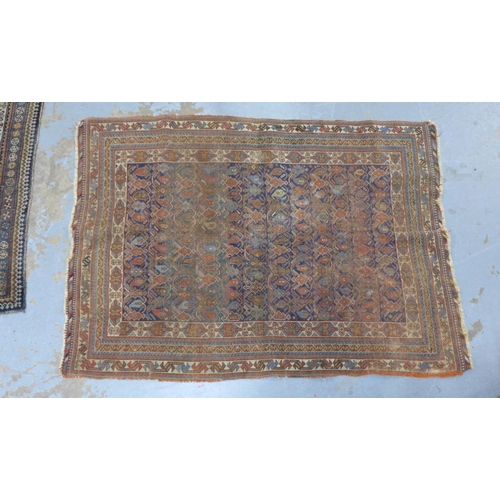 Lot 234       