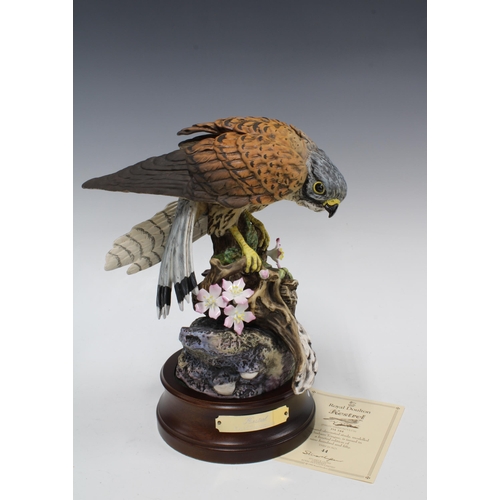 359 - Royal Doulton Kestrel (Falco Tinnunculus), Ltd Ed 44 / 950, on wooden base, 29cm high including base