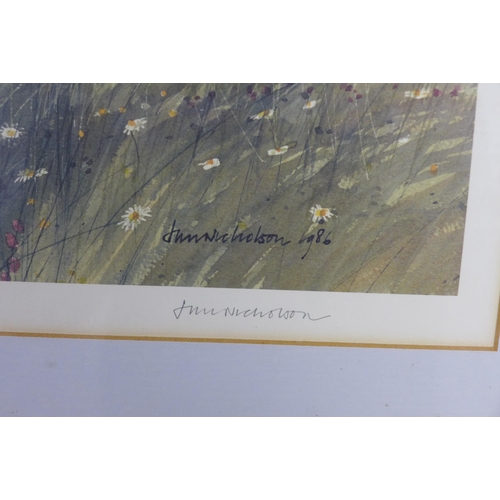 166 - JIM NICHOLSON (Scottish, 1924 - 1996) Ltd Ed 67/850, pencil signed print, framed under glass, 50 x 4... 