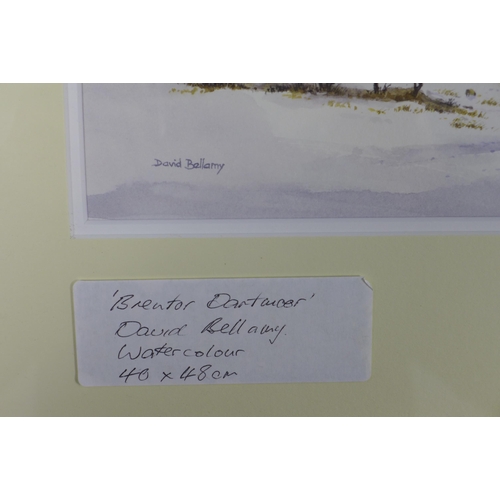 178 - DAVID BELLAMY, BRENTMOR - DARTMOOR, signed watercolour, framed under glass and labelled verso, 30 x ... 