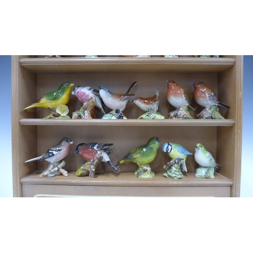 331 - A collection of 20 Beswick pottery bird figures together with a shelved wall display rack