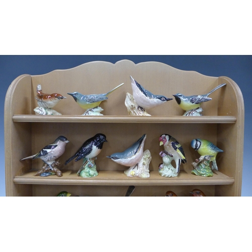 331 - A collection of 20 Beswick pottery bird figures together with a shelved wall display rack