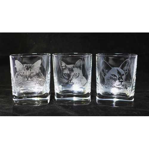 332 - Set of 6 cat patterned glass tumblers, boxed (6)