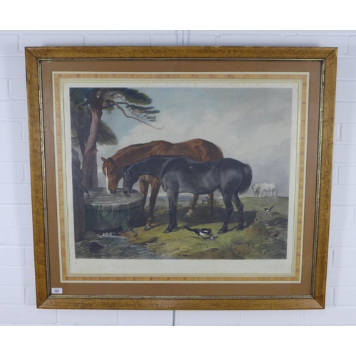 200 - 19th century lithograph print of two horses, framed under glass, size including frame 104 x 92cm