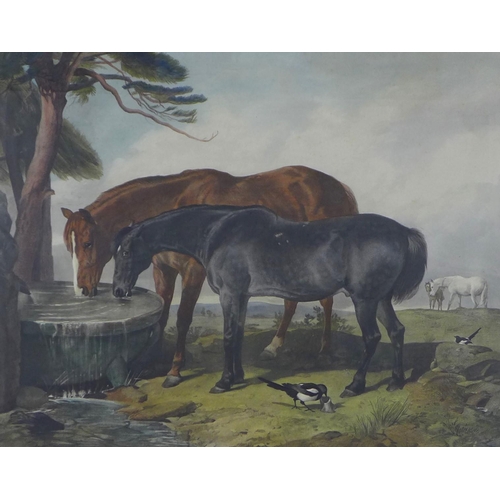 200 - 19th century lithograph print of two horses, framed under glass, size including frame 104 x 92cm