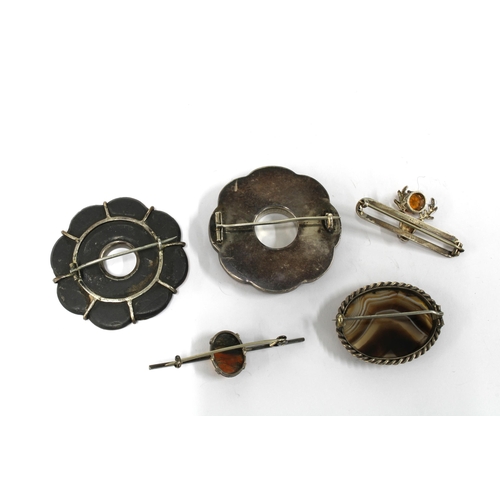 34 - Four Scottish pebble / hardstone brooches and a silver stags head brooch (5)