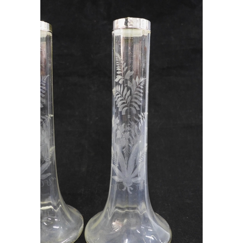 131 - Pair of fern etched glass bud vases with silver collars, 23cm (2)