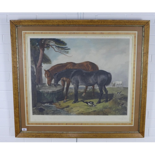 191 - 19th century lithograph print of two horses, framed under glass, size including frame 104 x 92cm