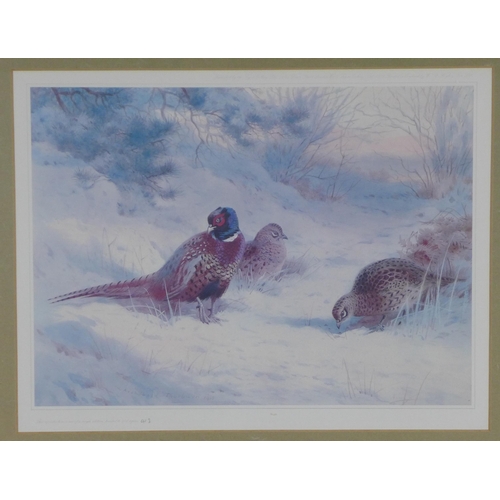 193 - Archibald Thorburn ltd ed print 413/500, framed under glass, 56 x 48cm overall