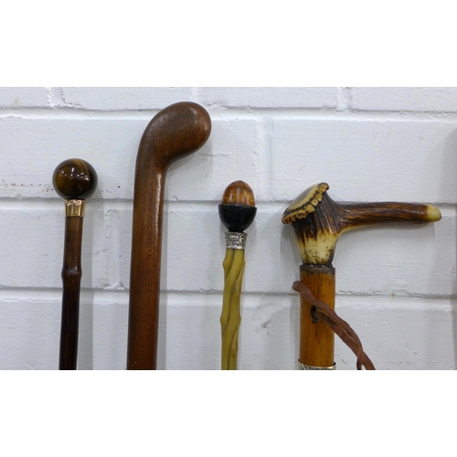 392 - Collection of walking sticks, including a duck head stick 100cm, an acorn head stick with silver mou... 