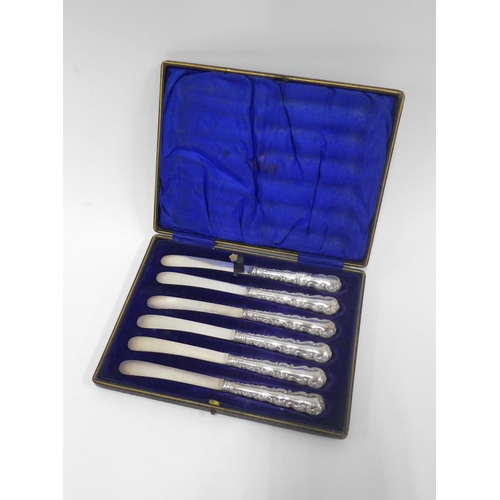 48 - A set of six Edwardian silver butter knives Sheffield 1902 in original fitted case (6)