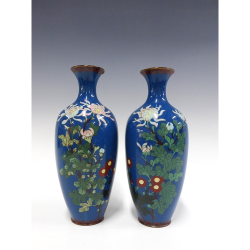 114 - Pair of cloisonne vases, with flowers on a blue ground, 24cm (2)