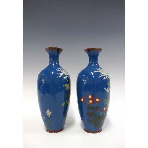 114 - Pair of cloisonne vases, with flowers on a blue ground, 24cm (2)