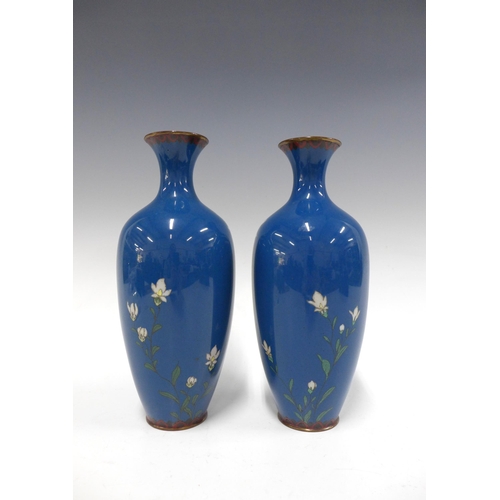 114 - Pair of cloisonne vases, with flowers on a blue ground, 24cm (2)