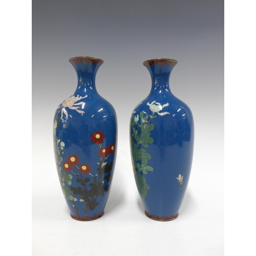 114 - Pair of cloisonne vases, with flowers on a blue ground, 24cm (2)