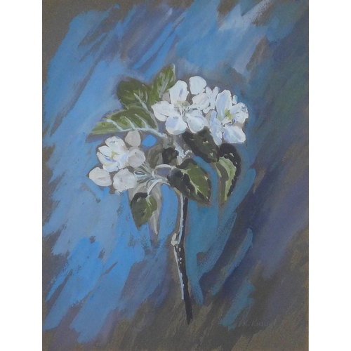 155 - KATHLEEN RUSSELL APPLE BLOSSOM, signed gouache, framed under glass with Aitken Dott title label vers... 