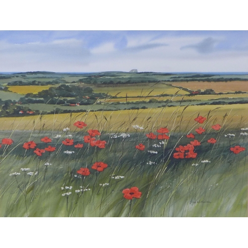 187 - JIM NICHOLSON (1924-1996), WILD POPPIES, EAST LOTHIAN, signed watercolour, framed under glass with M... 