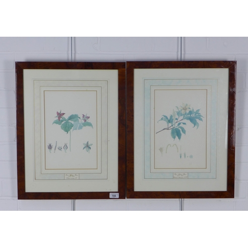 188 - Pair of Ltd Ed botanical prints, framed (2)