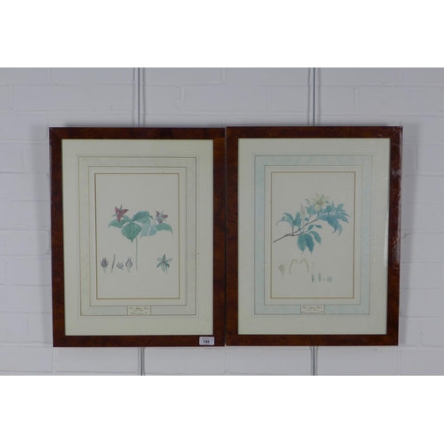 188 - Pair of Ltd Ed botanical prints, framed (2)