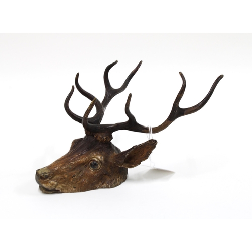 442 - An early 20th century cold painted bronze stags head, likely Austrian, 23cm long