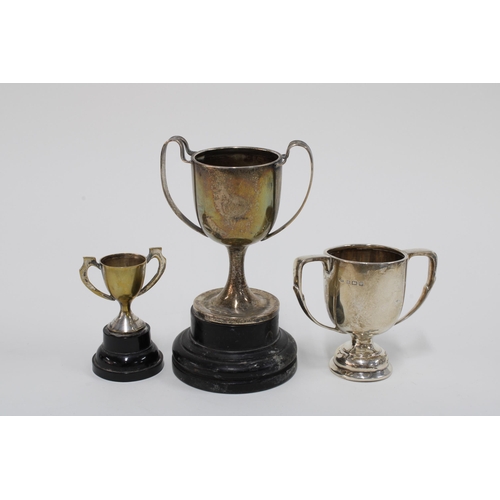 19 - Two George V silver trophy cups and a small silver plated trophy, (3)