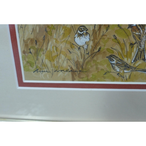 198 - WALLACE,  a group of three watercolours of birds, signed and framed under glass, largest 13 x 15cm (... 