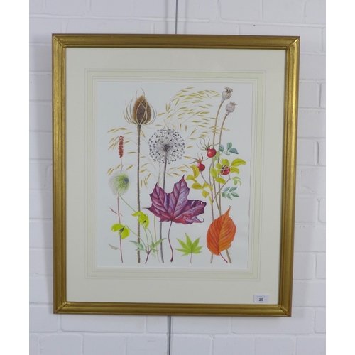 20 - LADY ANN FRASER, botanical watercolour, signed and dated 2005, framed under glass, 39x 47cm