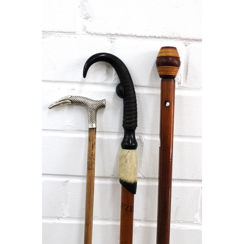 393 - Silver handled cane, together with a hoof handled walking stick and a barrel handled stick, longest ... 