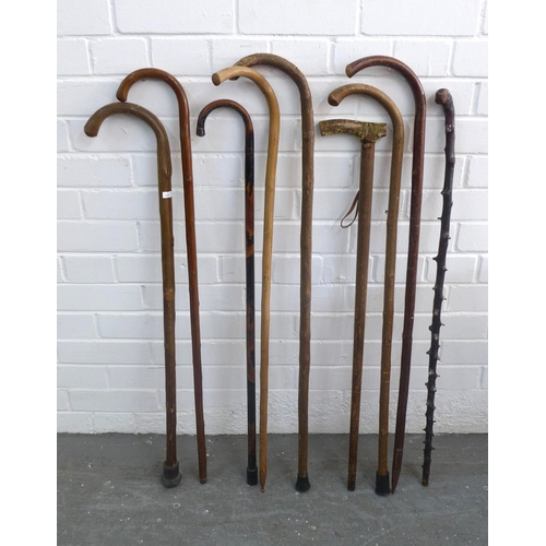 459 - Collection of walking sticks, longest 96cm